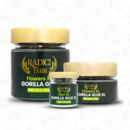 10 Gr Gorilla Glue - Cannabis Light - Radici Farm