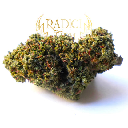 10 Gr Gorilla Glue - Cannabis Light - Radici Farm