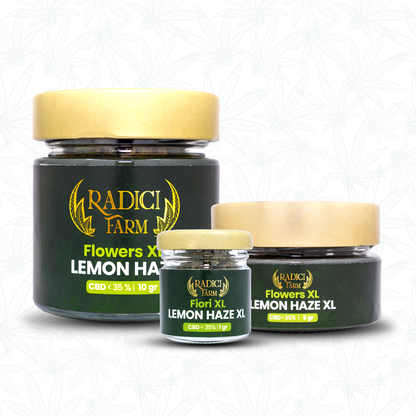 20 GR. LEMON HAZE XL (CBD<35%) - Radici Farm