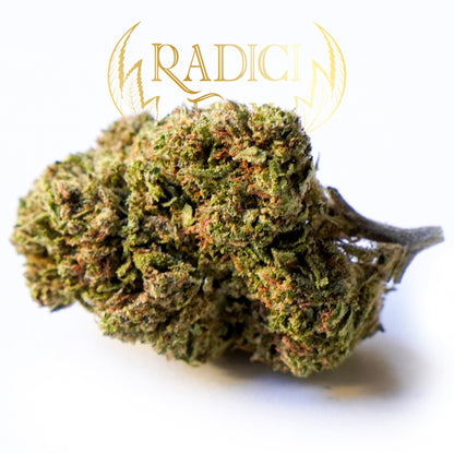 Lemon Haze - Cannabis Light - Radici Farm