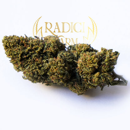 Gelato Cookie - Cannabis Light - Radici Farm