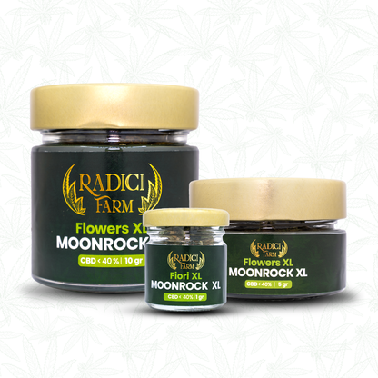 Fiori di Moonrock Ice - cannabis light legale