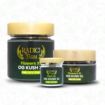 10 Gr OG Kush - Cannabis Light - Radici Farm