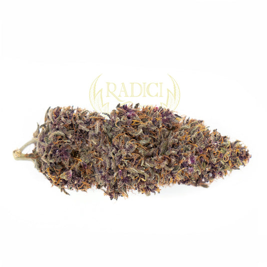 Purple Haze - Cannabis Light