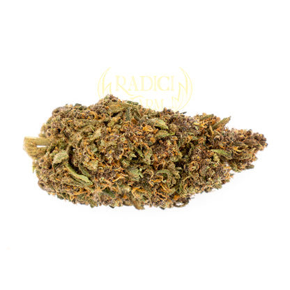 10 GR. PURPLE HAZE XL (CBD<35%) - Radici Farm