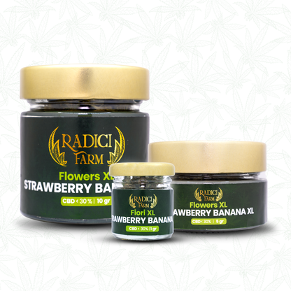 5 GR. STRAWBERRY BANANA XL (CBD<30%) - Radici Farm