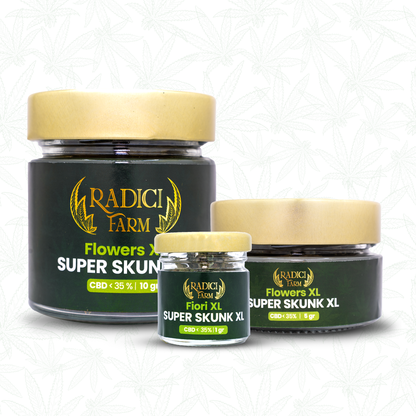 Fiori di Super Skunk XL cannabis light legale