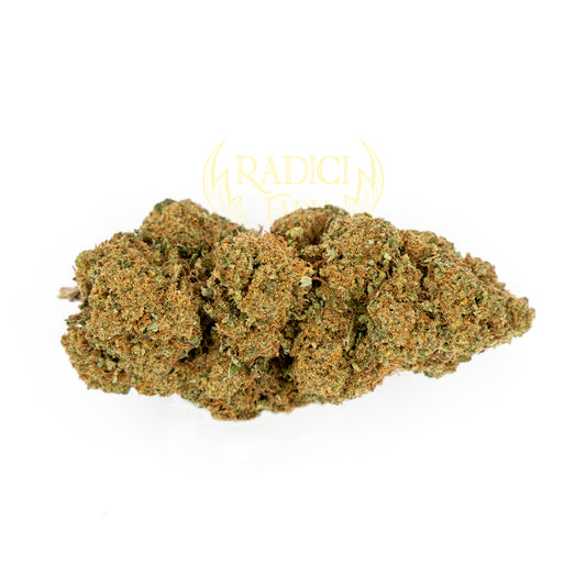 Fiori di Zkittlez Amnesia cannabis light legale